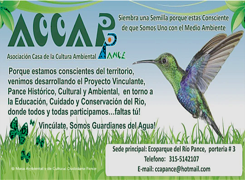 Colibrí con alas abiertas con texto de fondo